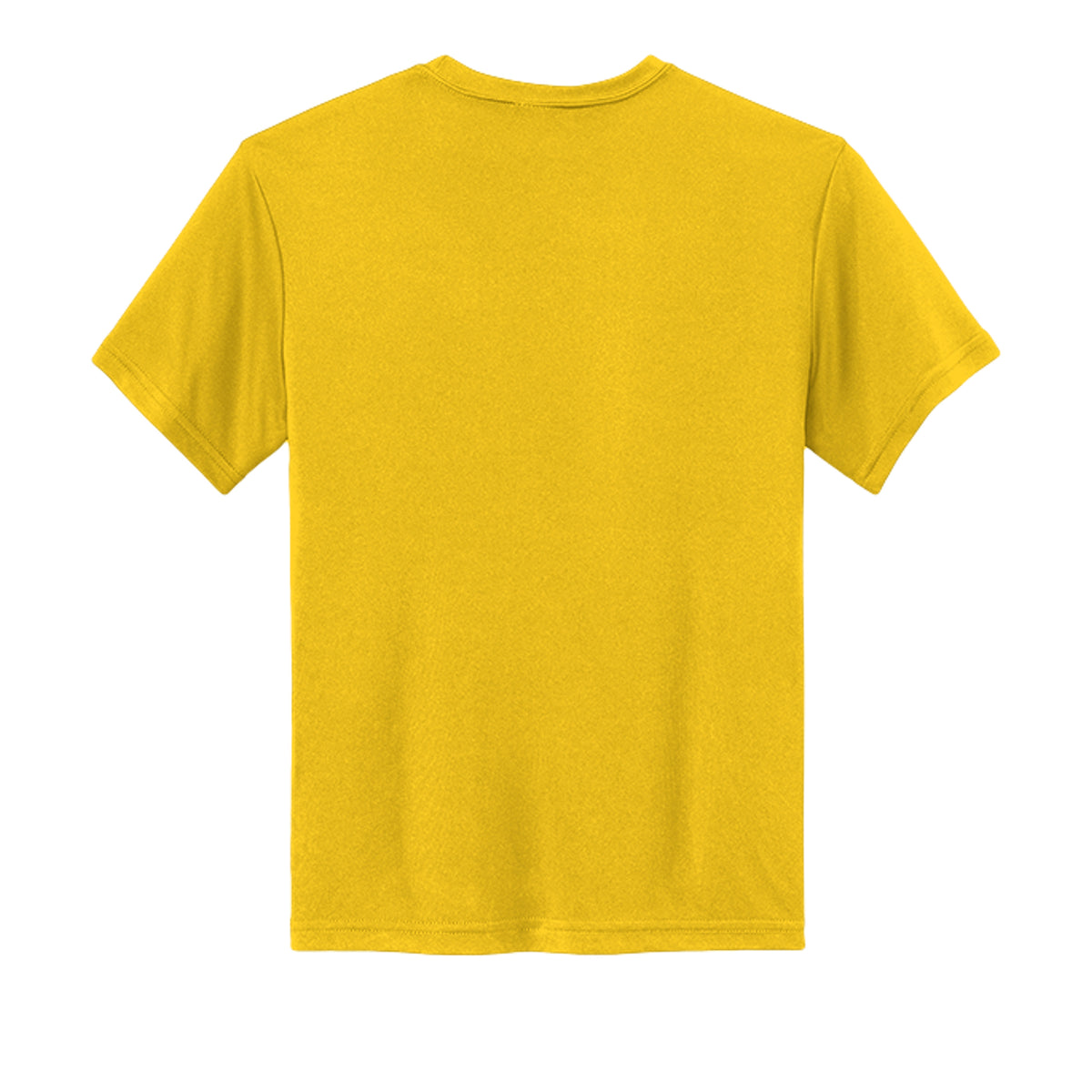 Campus Gold - CE10Y - BACK